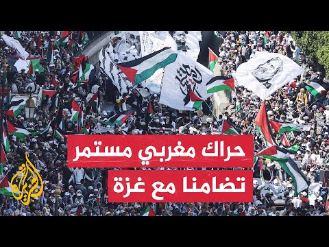 ناشطون مغاربة انخرطوا منذ بداية الحرب على غزة في تنظيم فعاليات تضامنية واسعة مع الشعب الفلسطيني