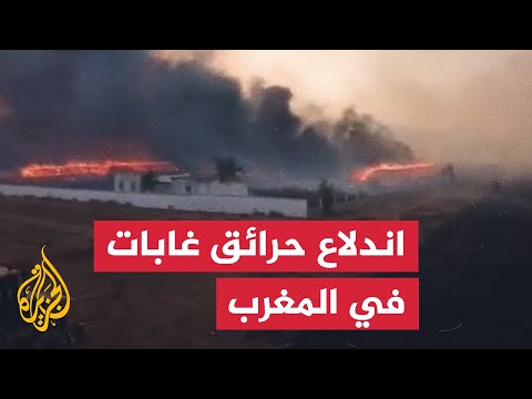 حرائق غابات تجتاح مناطق واسعة في المغرب