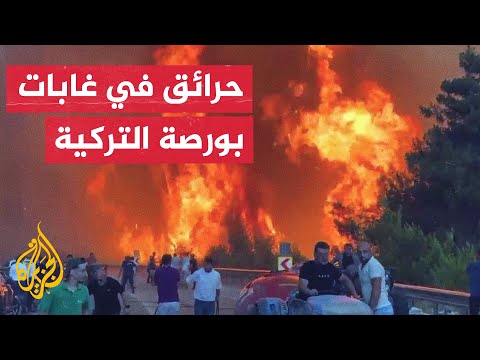 وزير الزراعة التركي: فرق الإطفاء تواصل جهودها لإخماد الحرائق التي اندلعت في مدينة بورصة