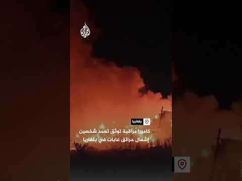 كاميرا مراقبة توثق تعمد شخصين إشعال حرائق غابات في بلغاريا