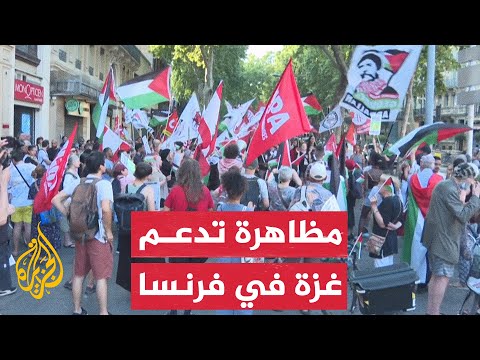 رفعت أعلام فلسطين.. مظاهرة في فرنسا تطالب بالإفراج عن ناشط لبناني
