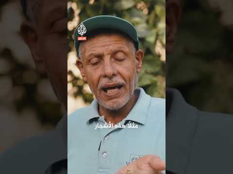 عراقي يتطوع لمكافحة التصحر في بغداد.. ما القصة؟