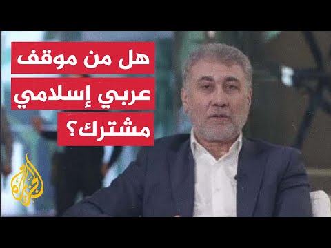 ما إمكانية التنسيق المشترك بين الدول العربية والإسلامية لإصدار بقرار موحد بشأن إسرائيل؟