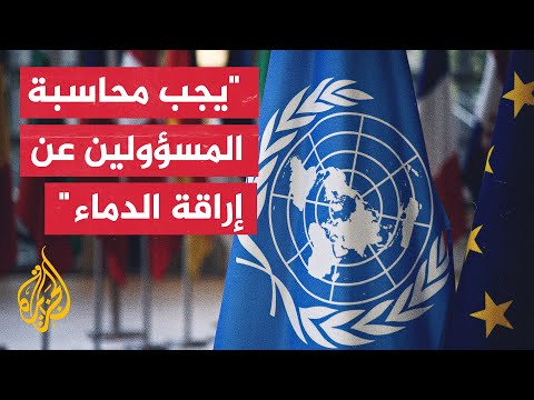 المكتب الأممي لحقوق الإنسان: نشعر بالفزع بعد مقتل 7 فلسطينيين بينهم طفلان في العملية المميتة في جنين