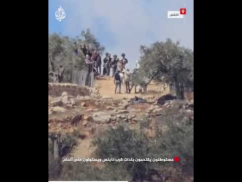 مستوطنون يقتحمون بلدات قرب نابلس ويستولون على أغنام