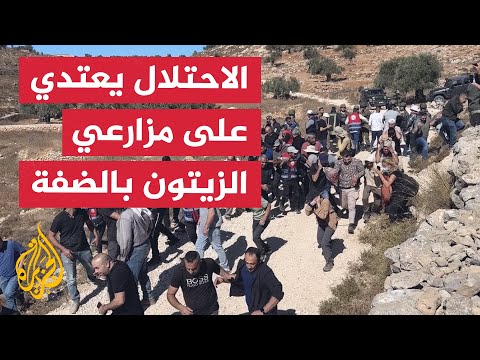 الاحتلال يستخدم القنابل الصوتية لطرد مزارعي الزيتون الفلسطينيين في الضفة الغربية