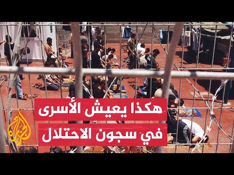 شهادات أسرى محررين عن التعذيب الذي يتعرض له الأسرى الفلسطينيون في سجون الاحتلال