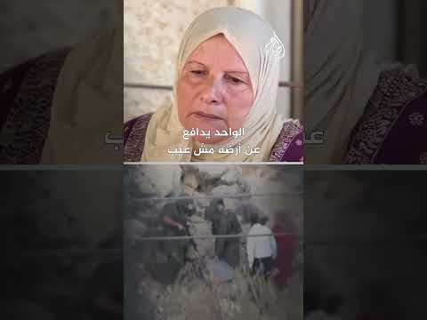 مستوطنون إسرائيليون يعتدون على مسنة فلسطينية خلال قطفها الزيتون