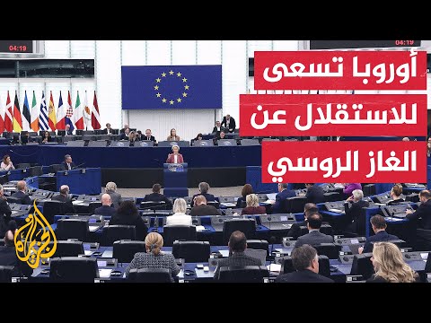 البرلمان الأوروبي يصدق على قرار يقضي بحظر جميع واردات الغاز الروسي قبل نهاية عام 2027