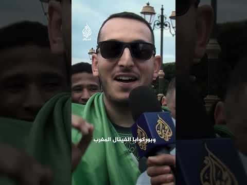 توقعات جماهير منتخب الجزائر في كأس أمم إفريقيا