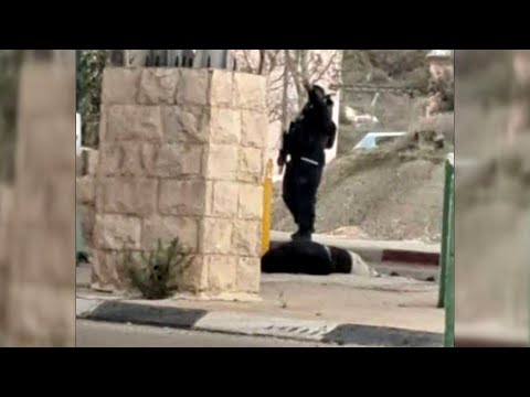 الاحتلال يحول منزلا في الخليل إلى ثكنة عسكرية