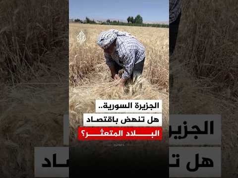 الجزيرة السورية.. هل تنهض باقتصاد البلاد المتعثر؟